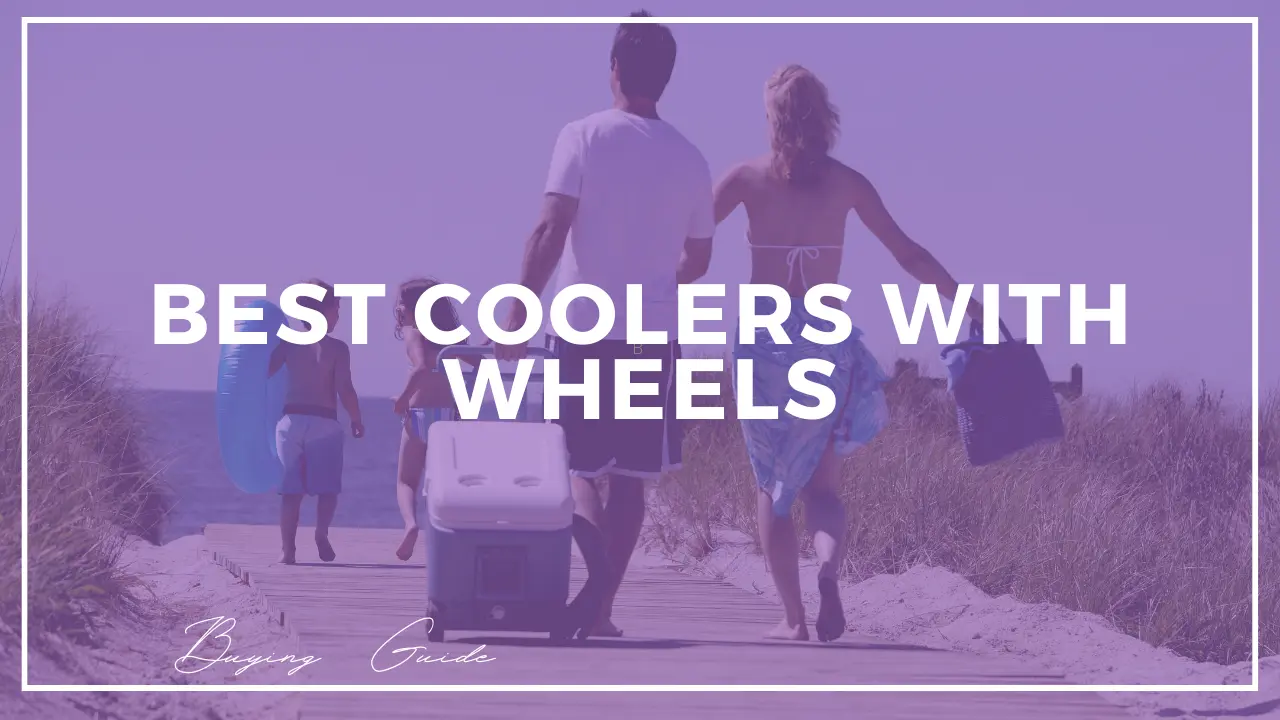 Best Coolers with Wheels