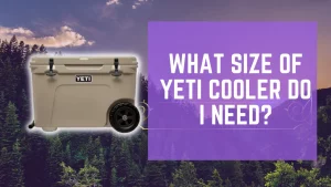 What Size of Yeti Cooler Do I Need?