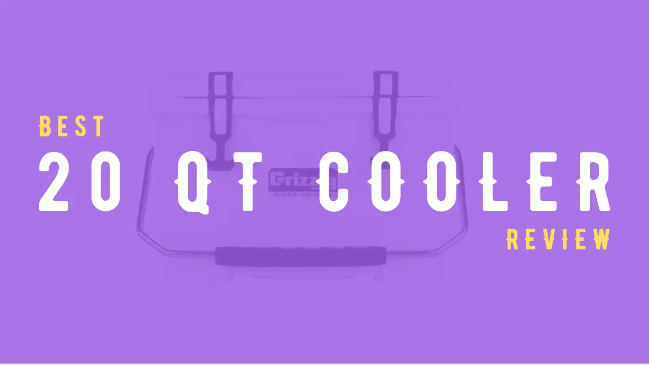 Best 20 qt Coolers