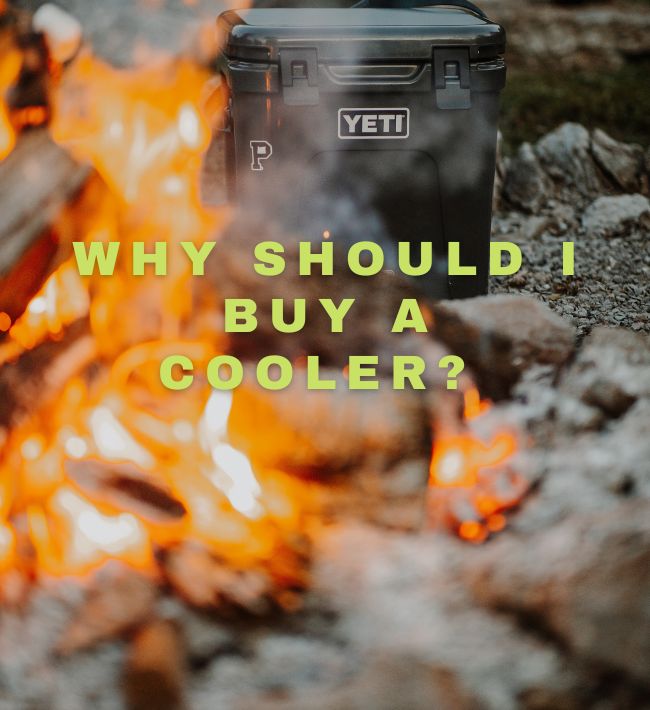 Why should I buy a Cooler?